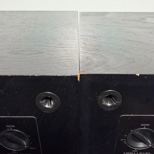 Yamaha Speakers Ns-100M