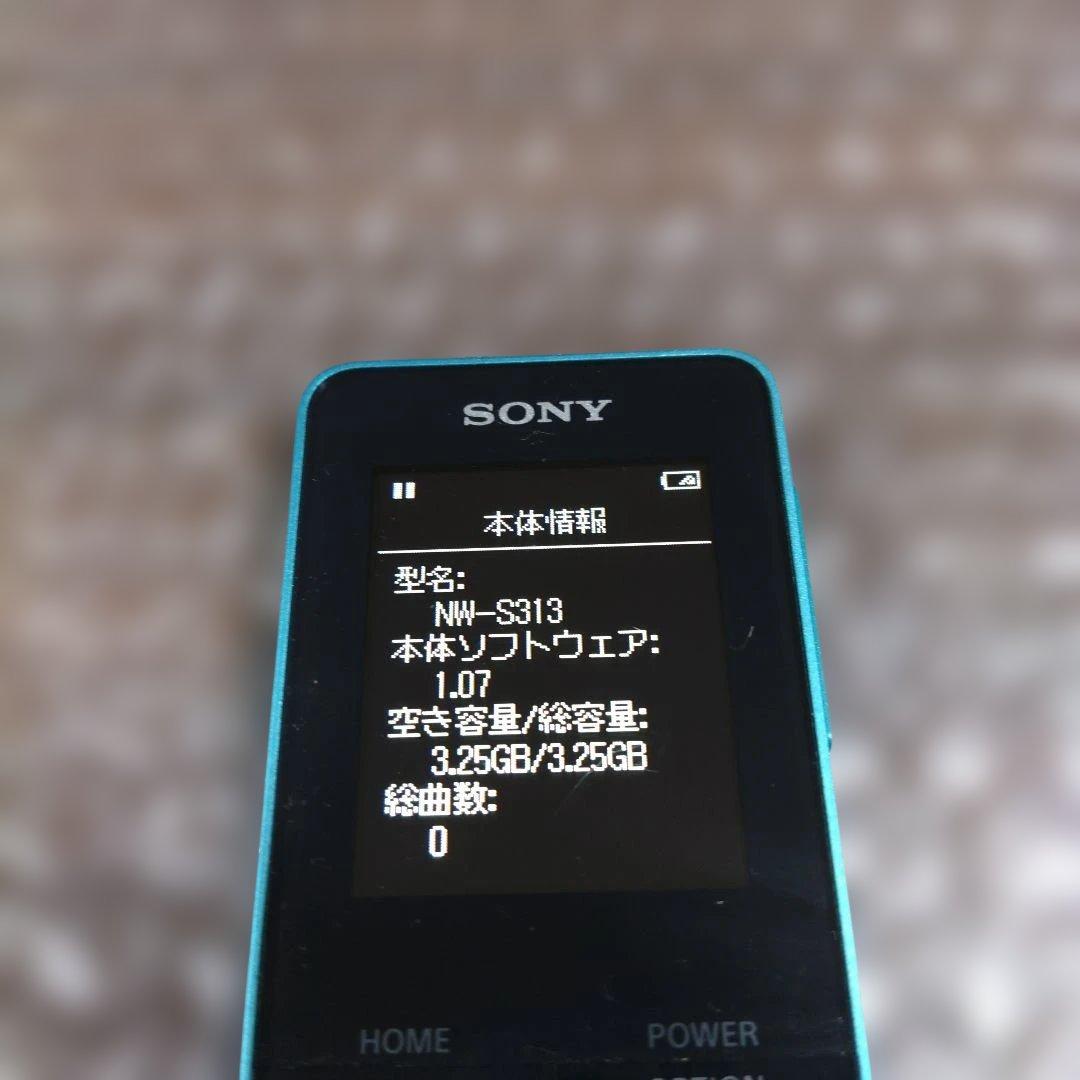 Sony Digital Audio Players Nw S313 4633