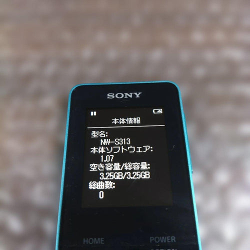 Sony Digital Audio Players Nw S313 4633