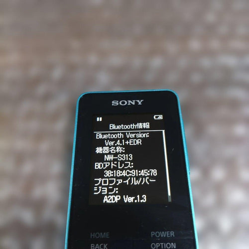 Sony Digital Audio Players Nw S313 4633