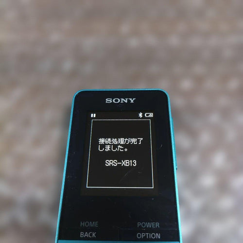 Sony Digital Audio Players Nw S313 4633
