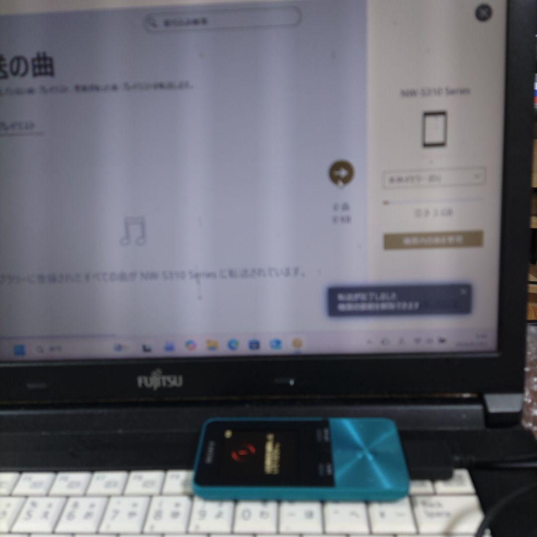 Sony Digital Audio Players Nw S313 4633