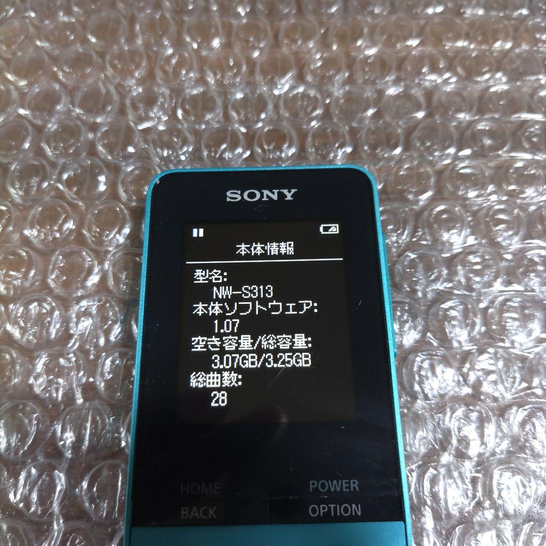 Sony Digital Audio Players Nw S313 4633
