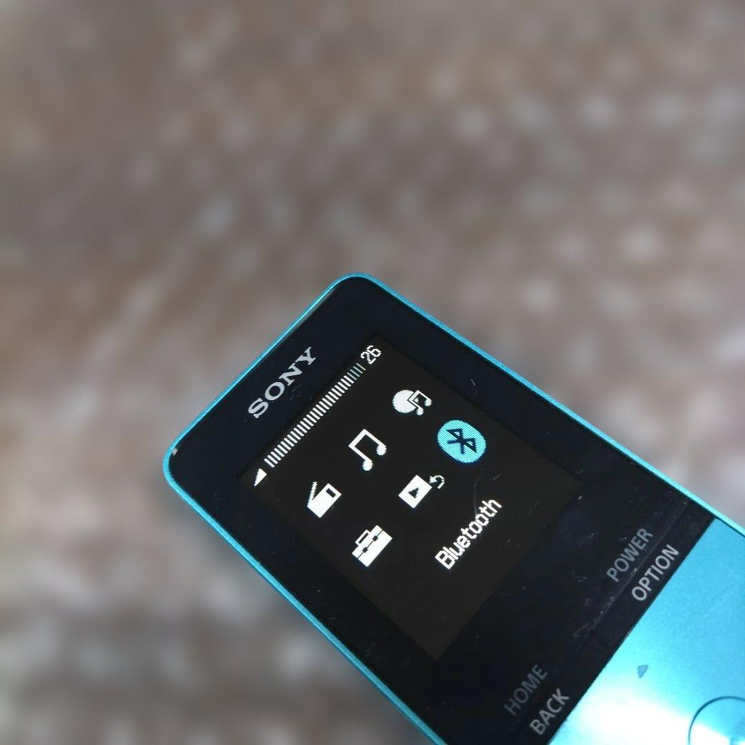 Sony Digital Audio Players Nw S313 4633