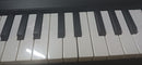 Midi Keyboards Pads Korg Microkey 37