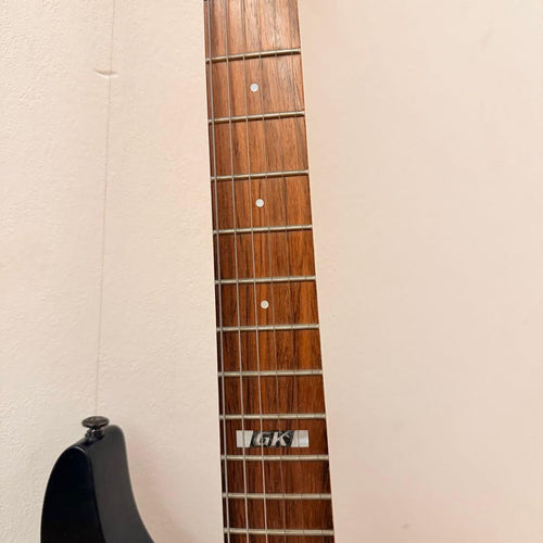 Esp Electric Guitars Ltd Roland Gk-3 Gr-55
