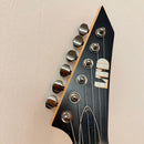Esp Electric Guitars Ltd Roland Gk-3 Gr-55