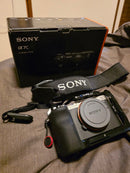 Sony Mirrorless Interchangeable Lens Cameras 7C English)