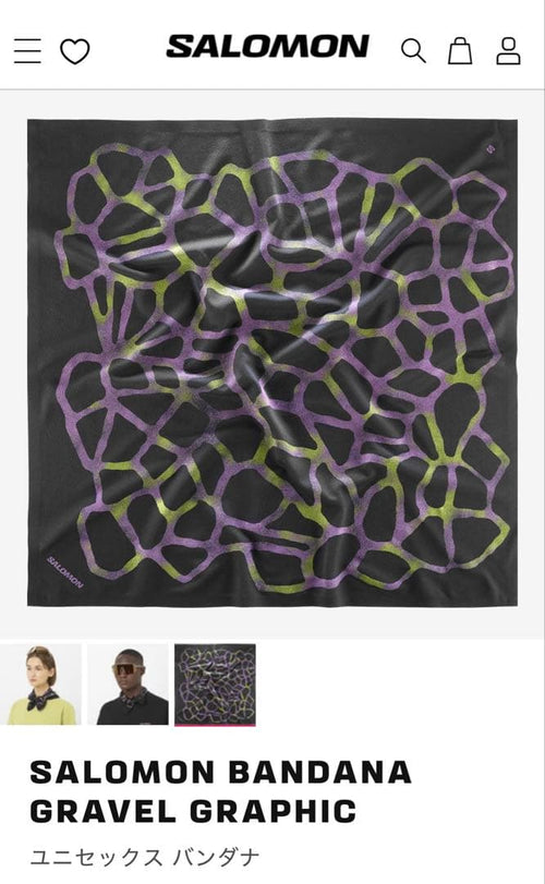 Salomon Other Gravel Graphic Deep Black