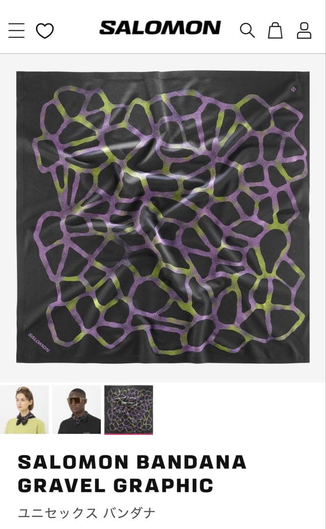 Salomon Other Gravel Graphic Deep Black