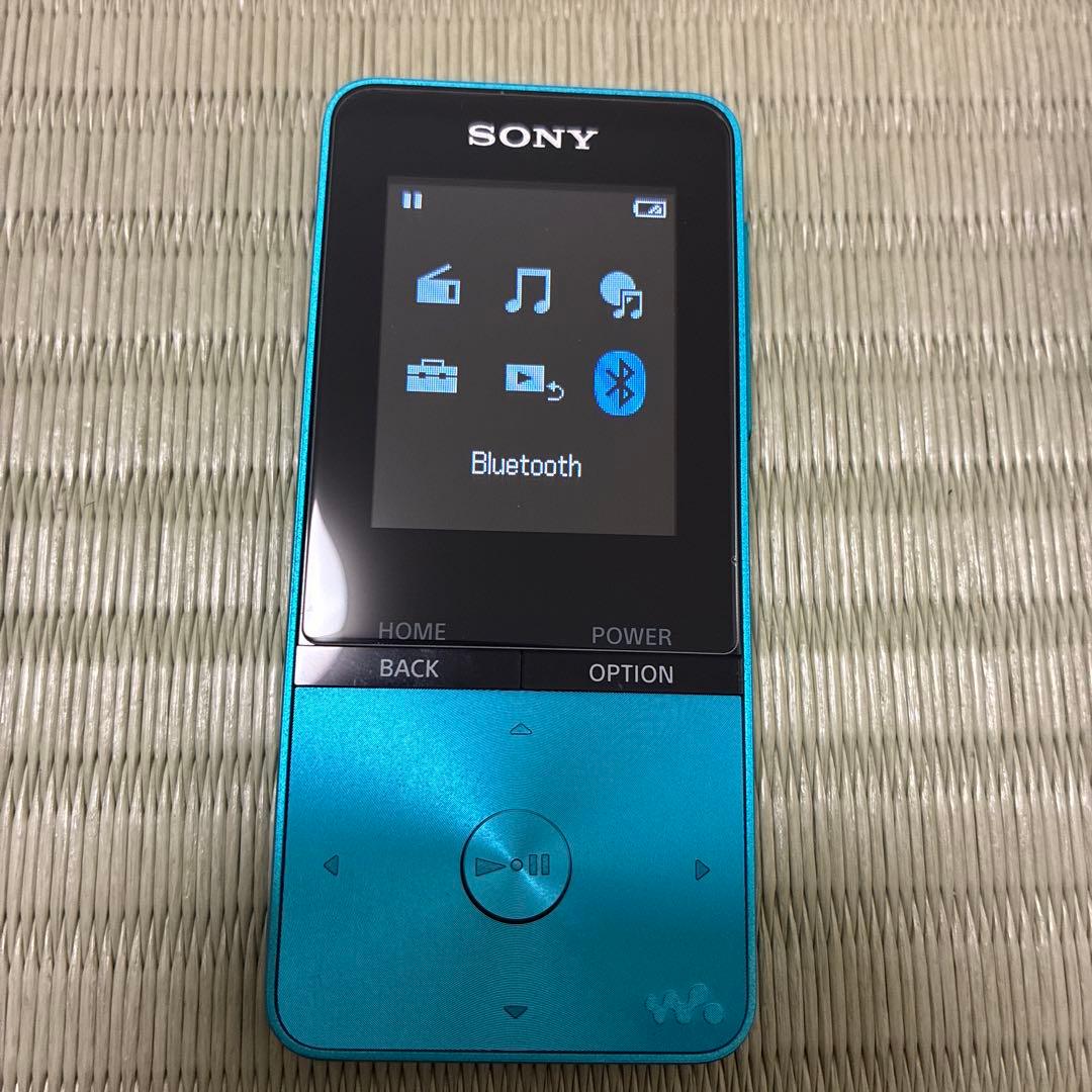 Sony Digital Audio Players Walkman Nw-S313 4Gb