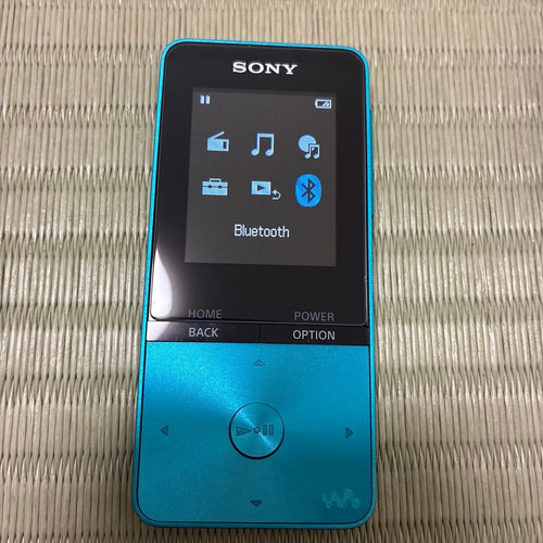 Sony Digital Audio Players Walkman Nw-S313 4Gb