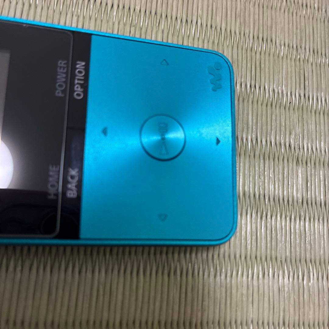 Sony Digital Audio Players Walkman Nw-S313 4Gb