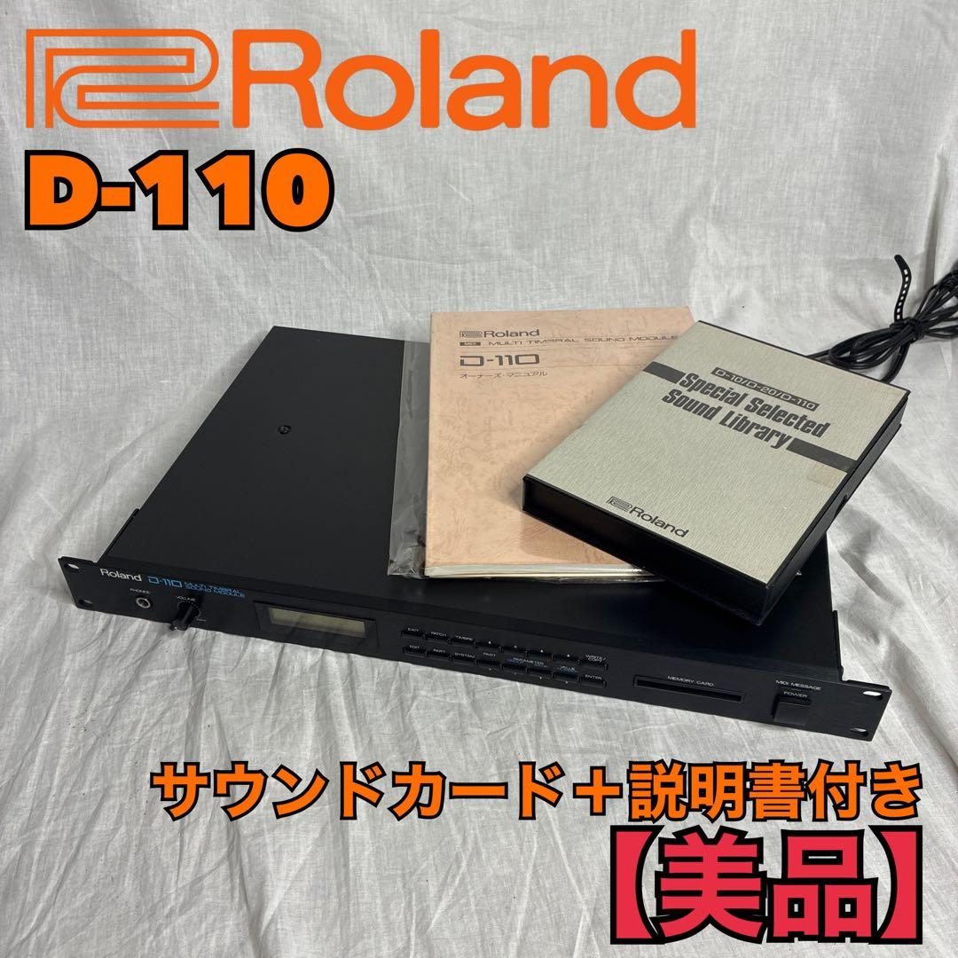 Roland Others D-110