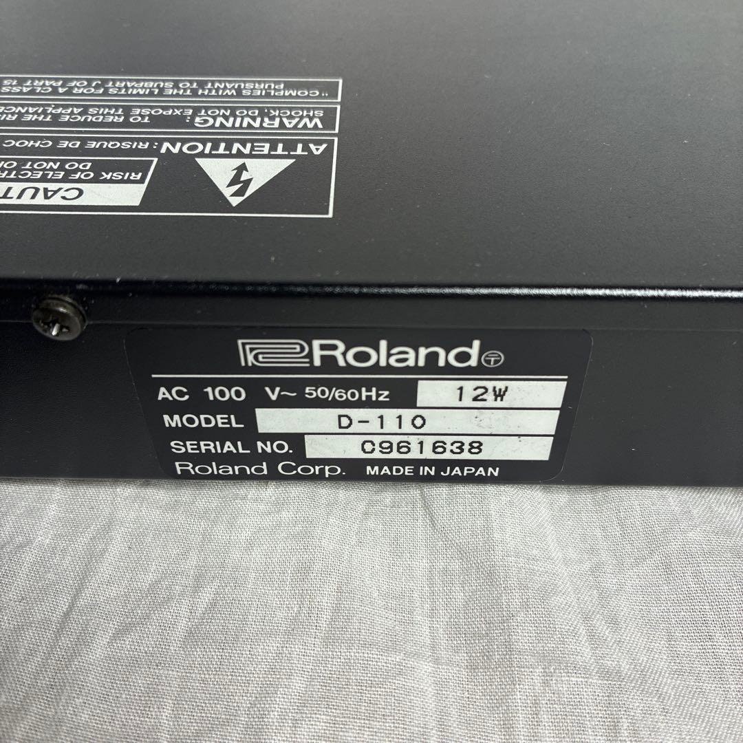 Roland Others D-110