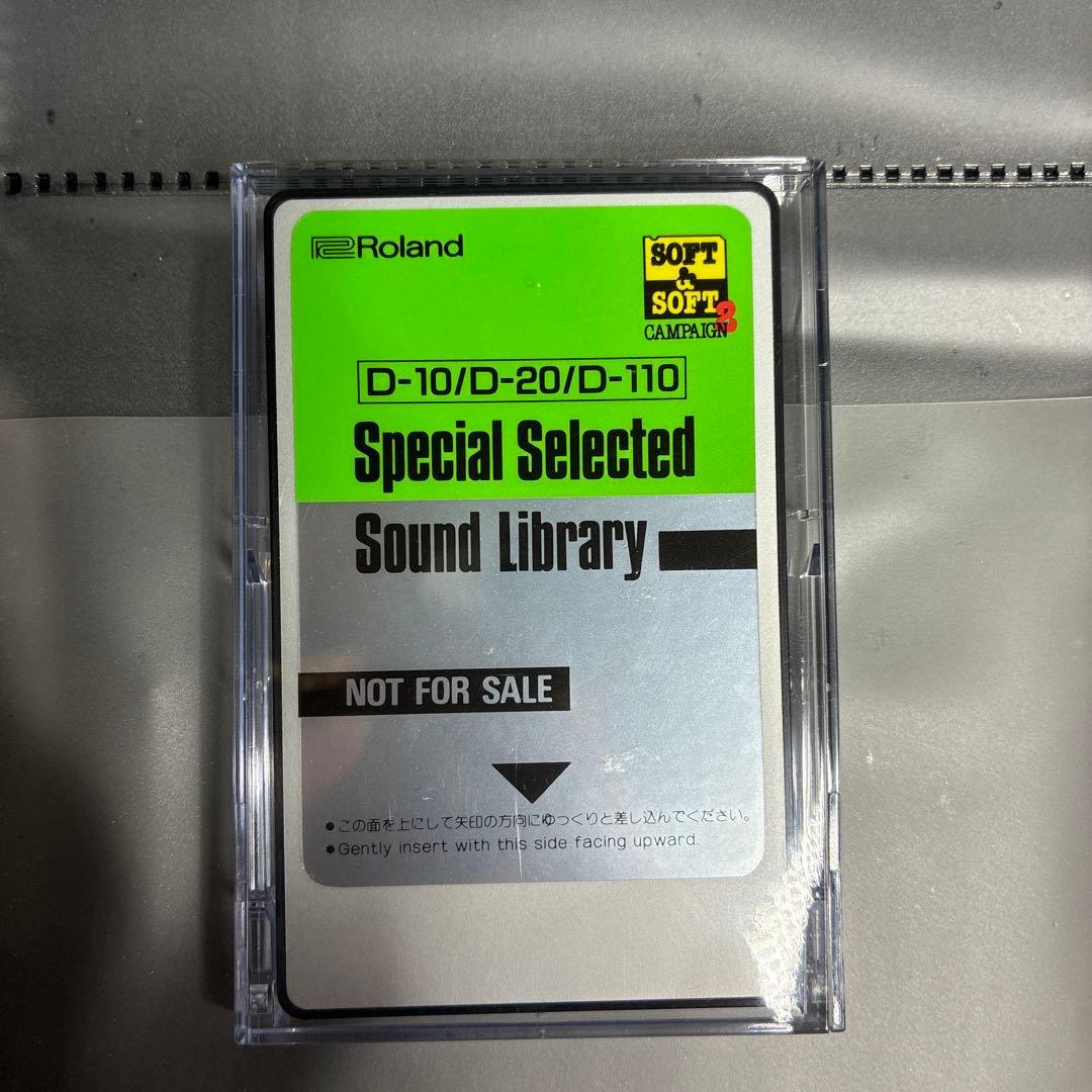 Roland Others D-110