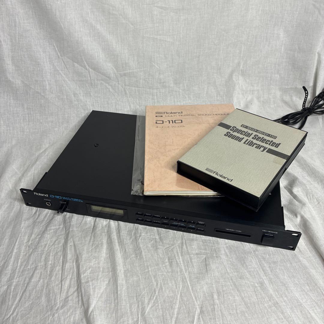 Roland Others D-110