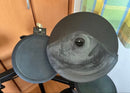Roland Electronic Drum Td11