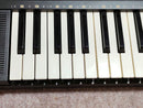Casio Keyboards Digital Pianos Casiotone Ct-350
