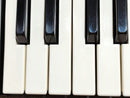 Casio Keyboards Digital Pianos Casiotone Ct-350