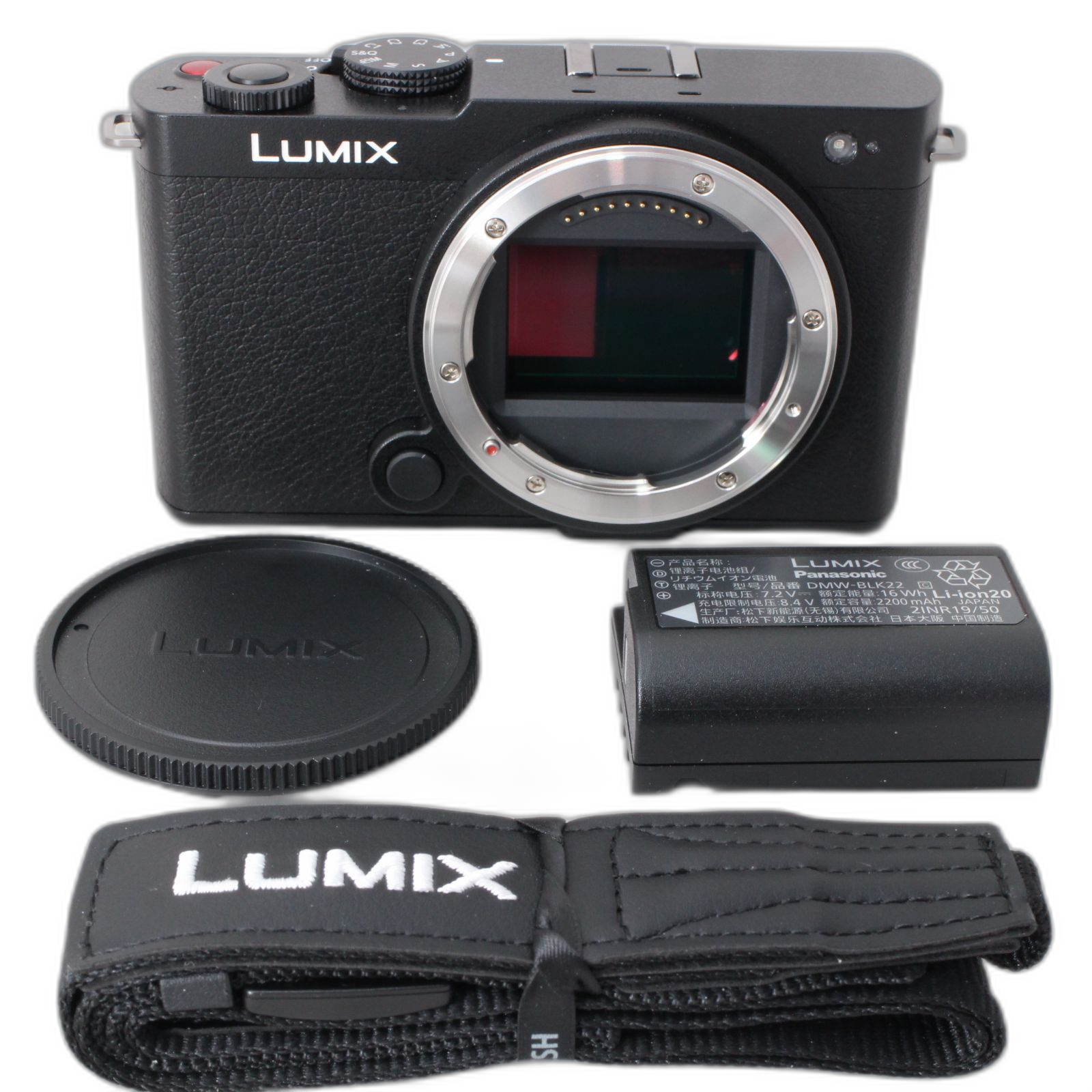 Panasonic Mirrorless Interchangeable Lips Lumix S9 S9-K Dc-S9-K #4909
