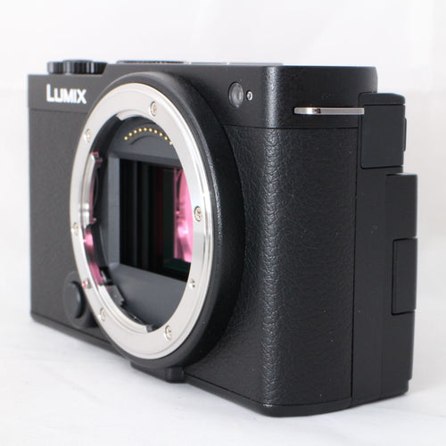Panasonic Mirrorless Interchangeable Lips Lumix S9 S9-K Dc-S9-K #4909