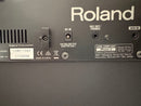 Roland Guitar Amplifiers Cube-10Gx