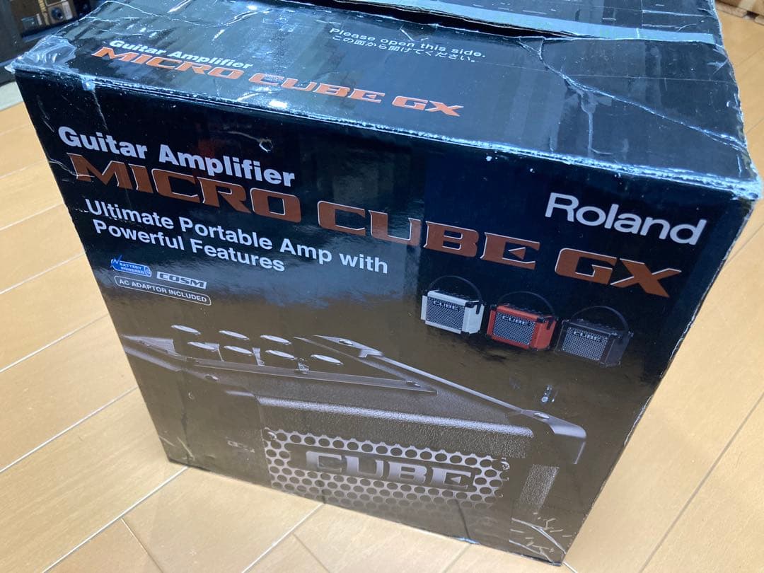 Roland Guitar Amplifiers Micro Cube Gx Ac
