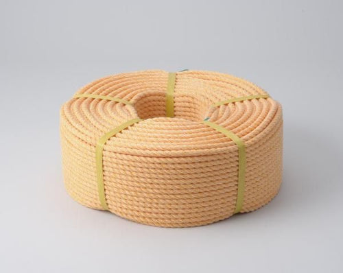 String Rope 2 Pv 8Mmx100M