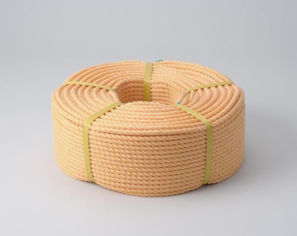 String Rope 2 Pv 8Mmx100M