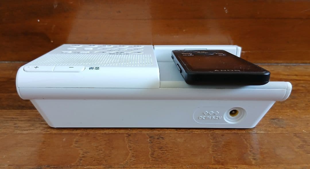 Sony Others Rdp-Nwl100/Nw-E083