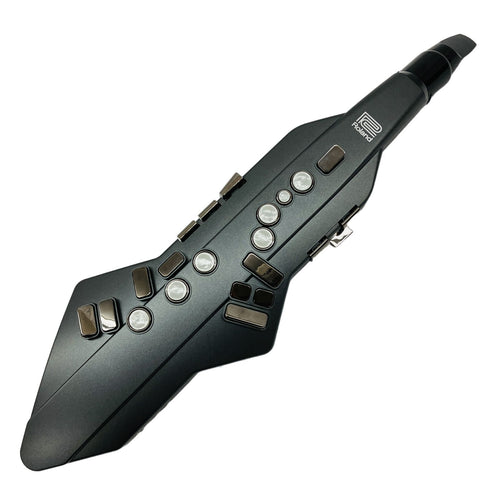 Saxophone Body Roland Aerophone Go Ae-05 C11393948
