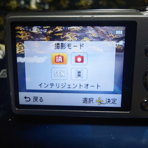 Compact Digital Cameras Lumix Fh6 14