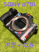 Sony Mirrorless Interchangeable Lips 7Iii [Ilce-7M3]