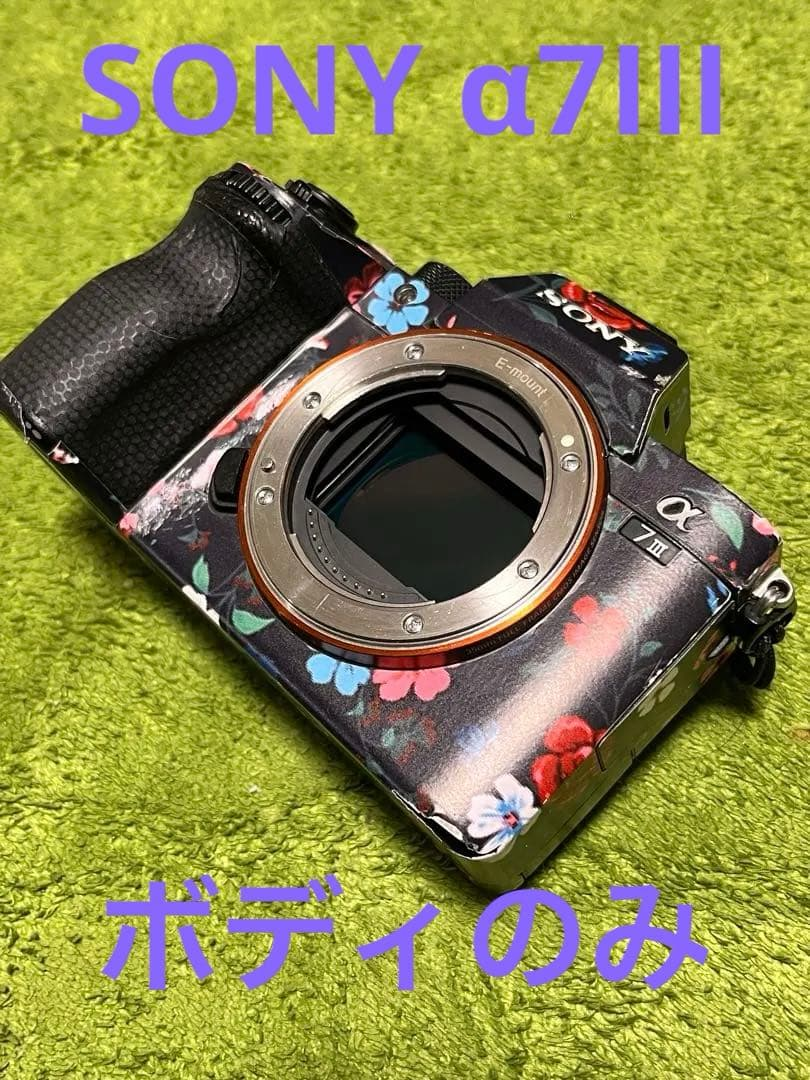 Sony Mirrorless Interchangeable Lips 7Iii [Ilce-7M3]