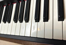 Yamaha Keyboard Electronic Piano Cp4 Stage