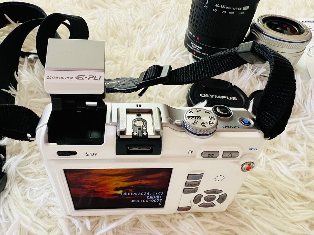Olympus Mirrorless Interchangeable Lips E-Pl1