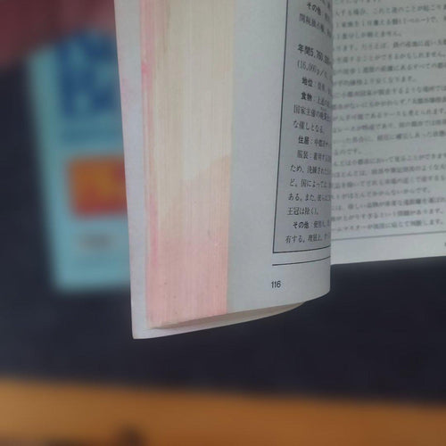 Game Capture Book