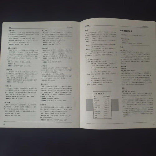 Game Capture Book