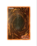 Yu-Gi-Oh! Ocg Duel Monsters (Foreign Languages) Dcr-049 1St