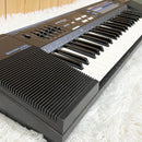 Casio Other Sk-2100 61