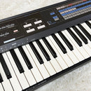 Casio Other Sk-2100 61