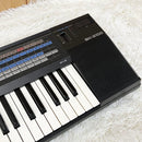 Casio Other Sk-2100 61
