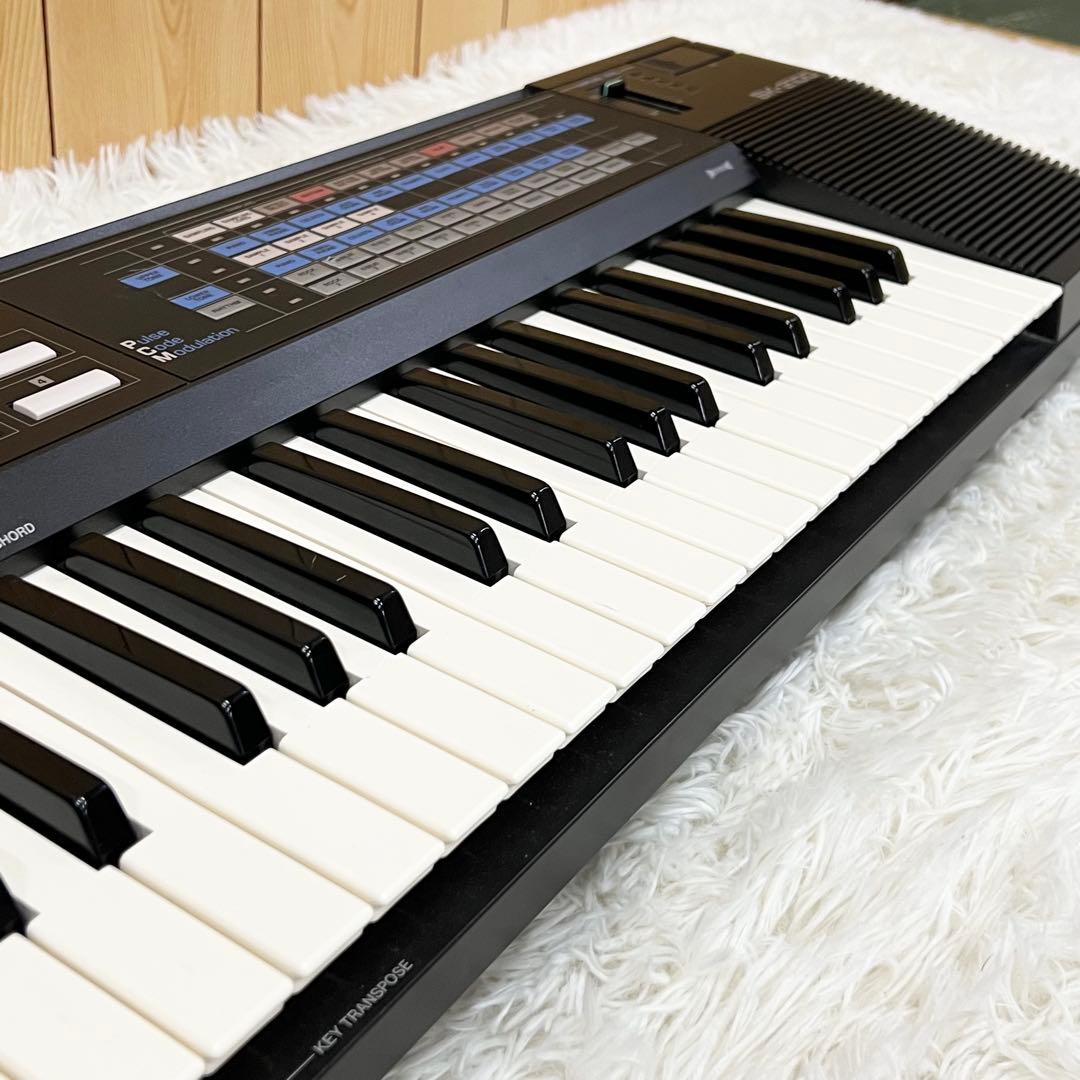 Casio Other Sk-2100 61