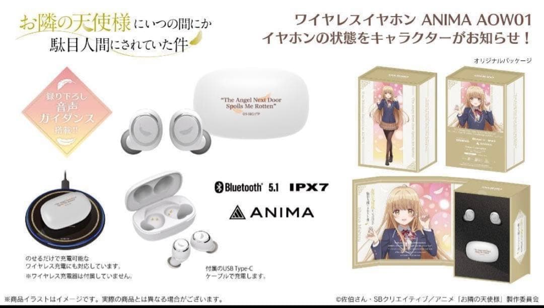 Onkyo Wireless Earphone Anima Aow01