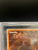 Yu-Gi-Oh! Ocg Duel Monsters (Foreign Languages) Ars9 Dcr-053