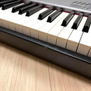 Roland Keyboards Digital Pianos Fp-2 88 2005