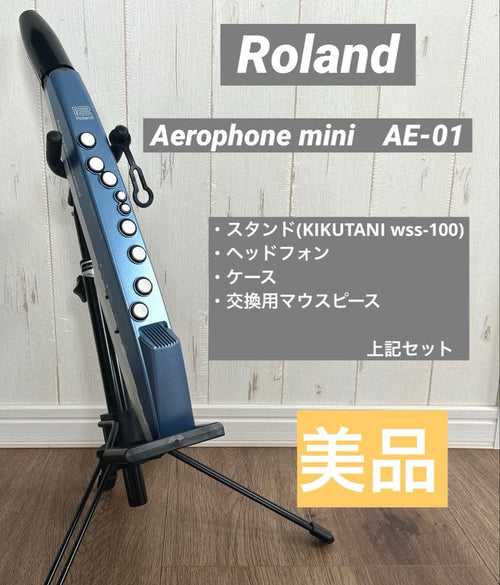 Roland Others Aerophone Mini Ae-01