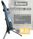Roland Others Aerophone Mini Ae-01