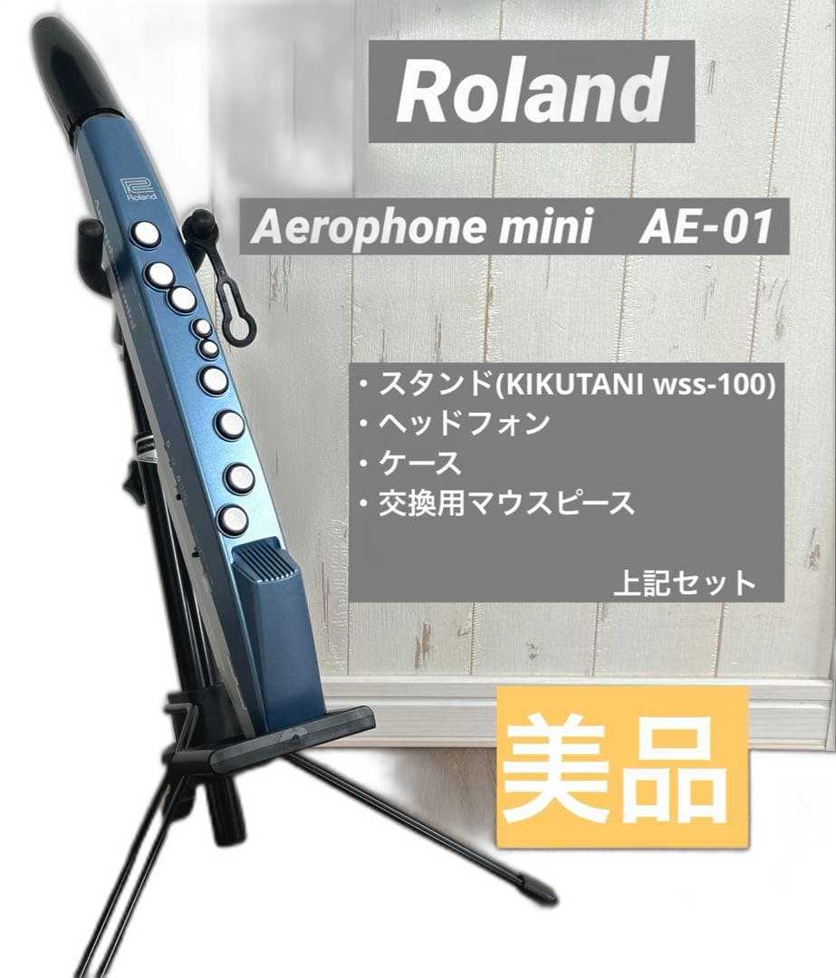 Roland Others Aerophone Mini Ae-01